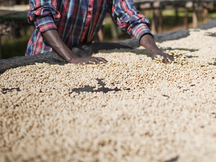 Schoenkaffee - Äthiopien - Banko Gotiti / Filterkaffee