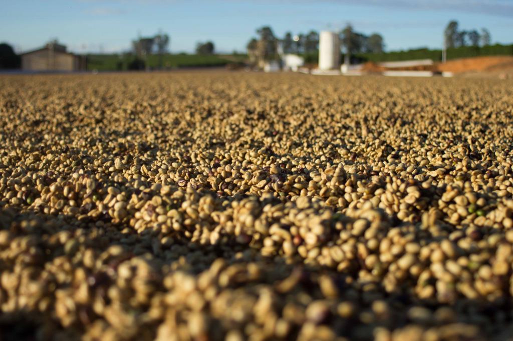 Schoenkaffee - Brasilien - Dolce Cerrado Direct Trade / Filterkaffee