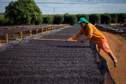 Schoenkaffee - Brasilien - Dolce Cerrado Direct Trade / Filterkaffee